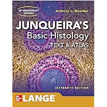 JUNQUEIRA’S Basic Histology TEXT&ATLAS Junqueira's Basic Histology: Text and Atlas, Seventeenth